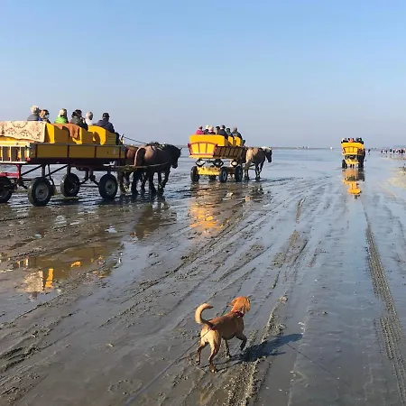 Meermomente Apartment *