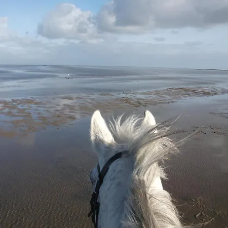 Meermomente Apartment