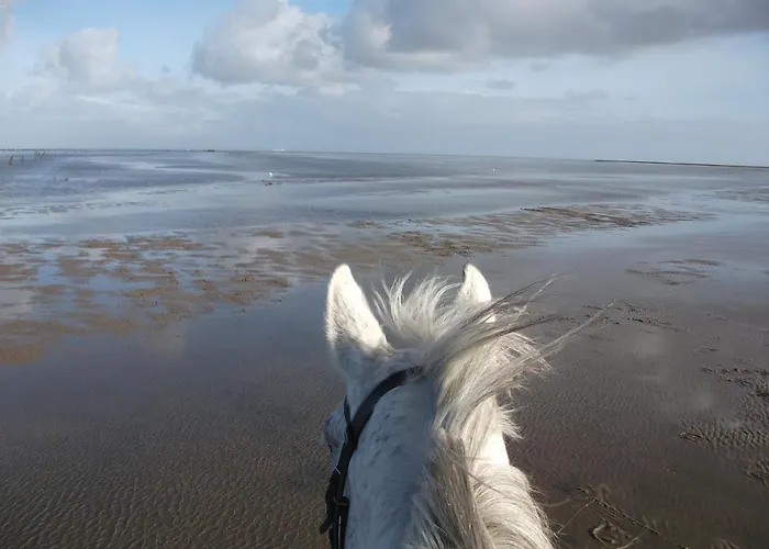 Meermomente Апартаменты